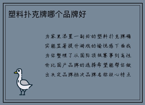 塑料扑克牌哪个品牌好